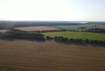 Выравнивание участка