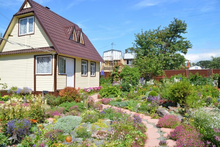 отмена дачной амнистии дача дом участок