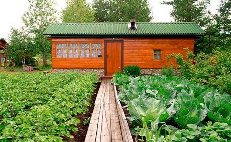 дачная амнистия полностью отменена