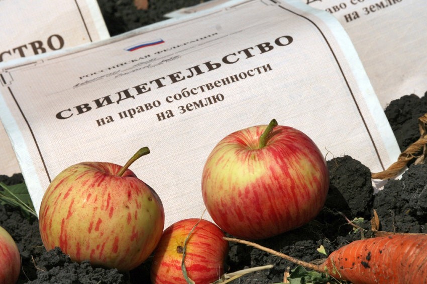 закон отменил дачную амнистию
