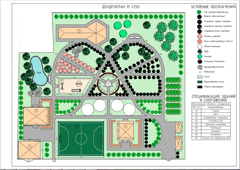 Дендроплан пример