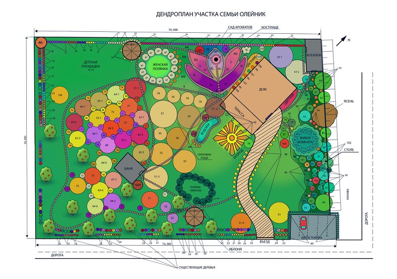 Как составляется дендрологический план