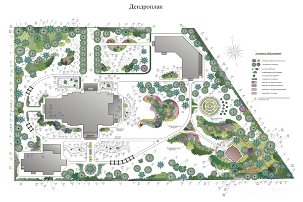 образец пример дендроплана