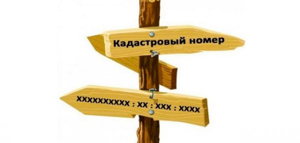 проверка межевания по кадастровому номеру