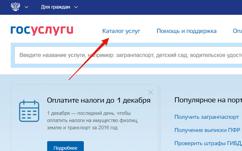 каталог госуслуг