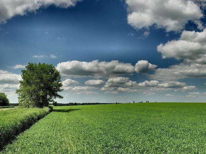 что еще нужно учитывать при выборе земельного участка